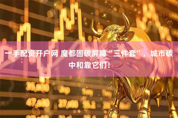 一手配资开户网 魔都固碳屏障“三件套”，城市碳中和靠它们！