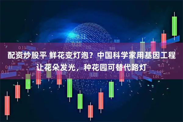 配资炒股平 鲜花变灯泡？中国科学家用基因工程让花朵发光，种花园可替代路灯